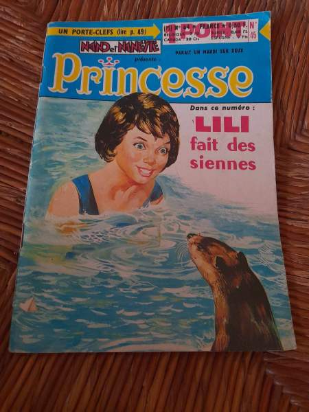 Magazine bd nand et nanette -n&deg;45 princesse