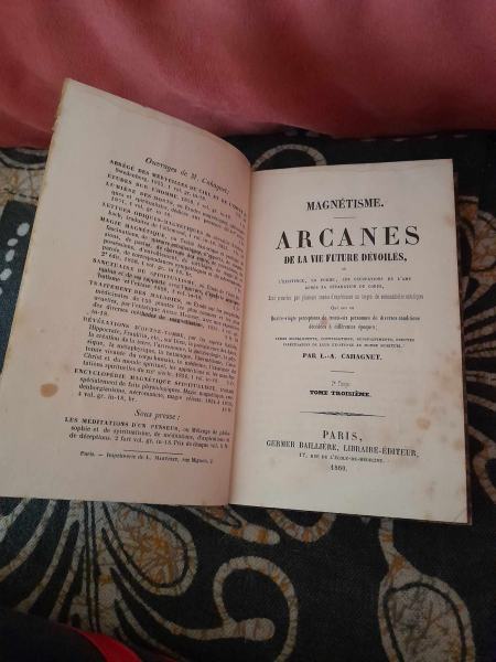 Magnetisme - arcanes de la vie future d&eacute;voil&eacute;s pas cher