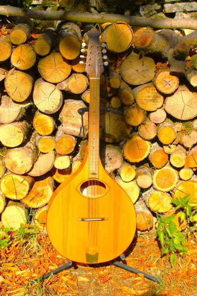 Mandola sol r&eacute; la mi , diapason : 50 cm