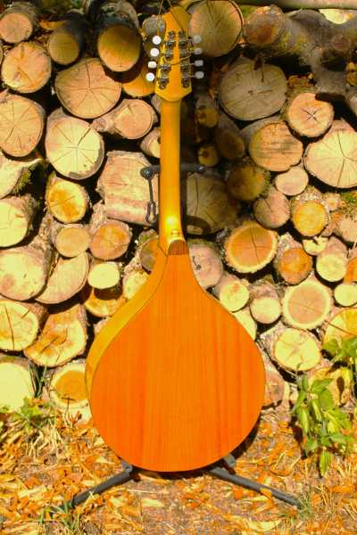 Vente Mandola sol r&eacute; la mi , diapason : 50 cm