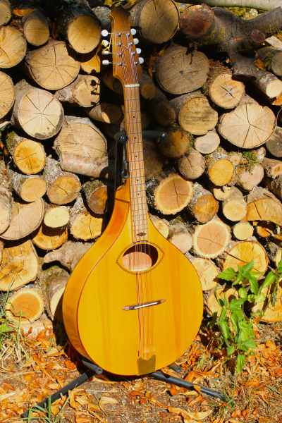 Mandola sol r&eacute; la mi , diapason : 50 cm pas cher