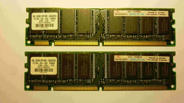 M&eacute;moire pour ordinateur 256 mo x 2