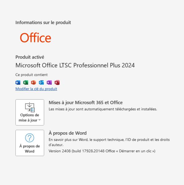 Vente Microsoft office ltsc 2024 pro plus - windows 64