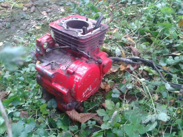 Annonce Moteur honda 600 xlm 1986