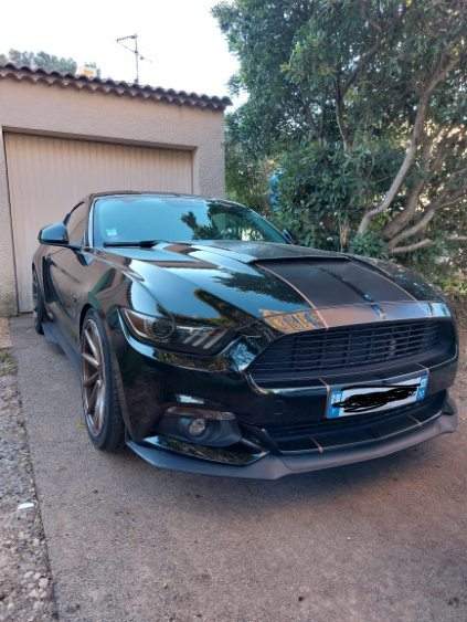 Mustang gt 2015