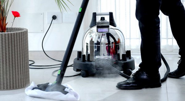 Nettoyeur &agrave; vapeur vaporetto genius