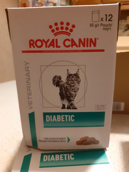 Pâtée royal canin pour chat diabétique