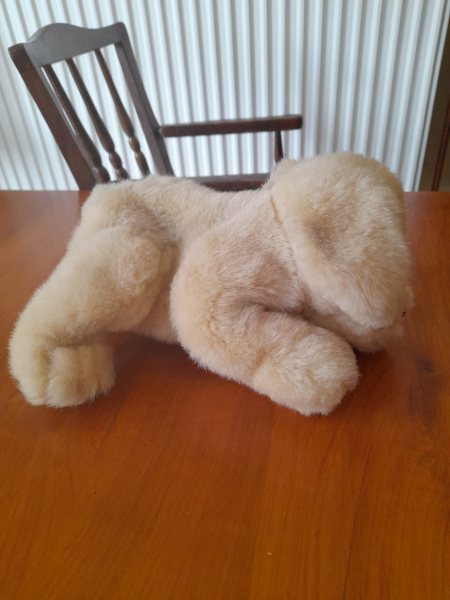 Peluche chien 20 cm pas cher