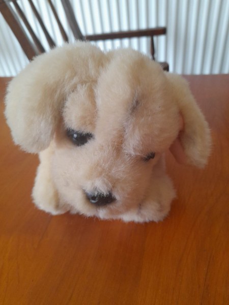 Peluche chien 20 cm