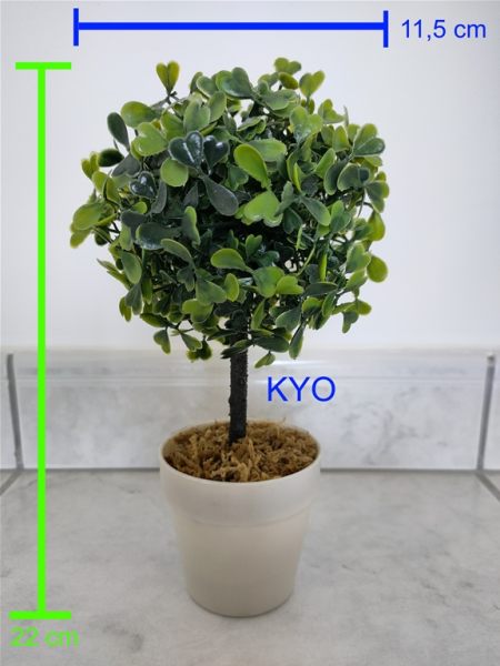 Petit arbre buis rond, hauteur 22cm diamètre 11cm