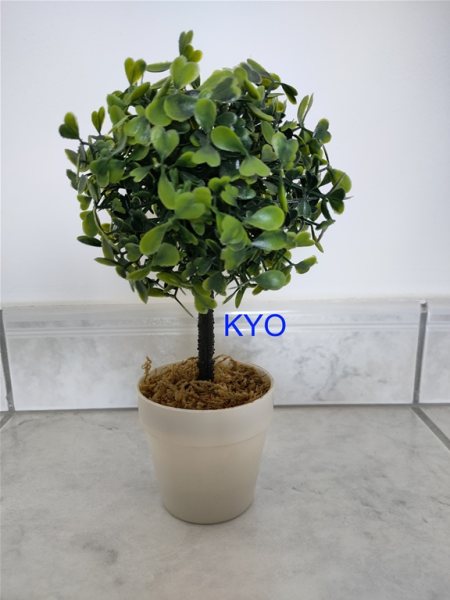 Vente Petit arbre buis rond, hauteur 22cm diamètre 11cm