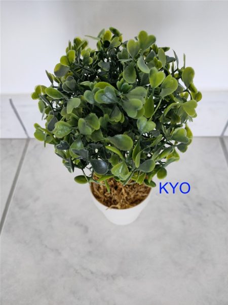 Petit arbre buis rond, hauteur 22cm diamètre 11cm pas cher