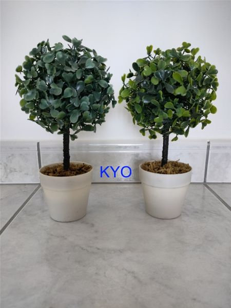 Annonce Petit arbre buis rond, hauteur 22cm diamètre 11cm