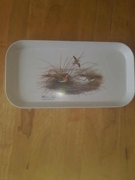 Petit plateau de service en plastique