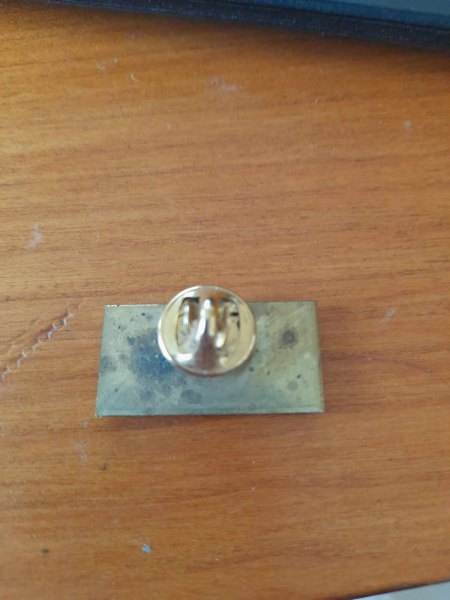 Vente Pin's notre terroir " veaugues "