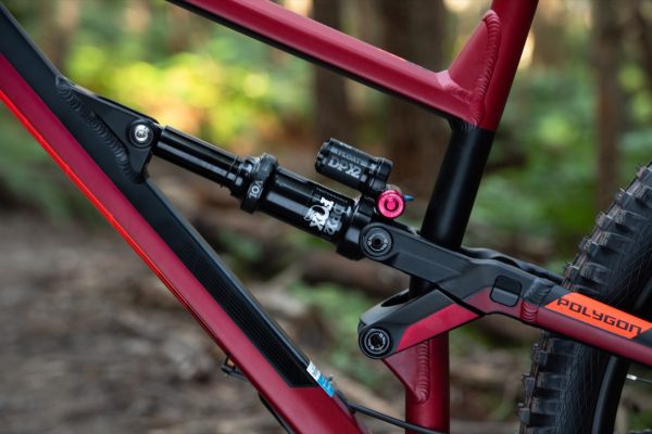 Annonce Polygon siskiu n8