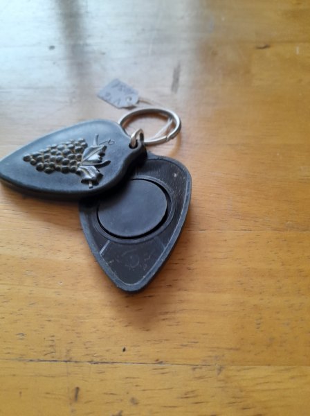 Porte clé jeton grappe de raisin