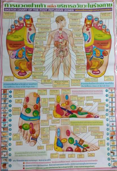 Poster massage n&deg;2 r&eacute;flexologie des pieds