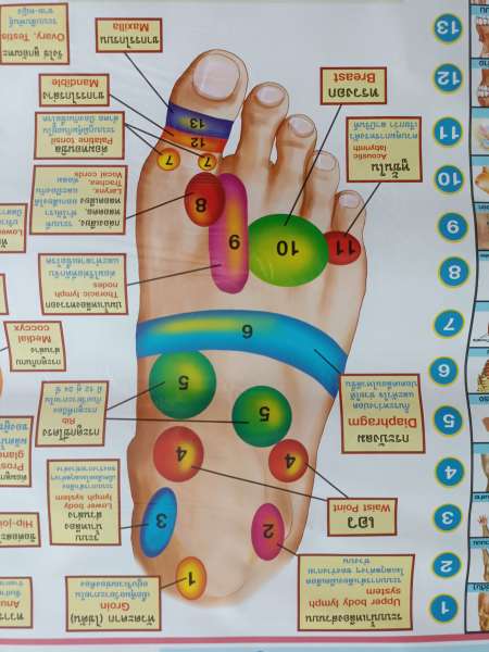 Poster massage n&deg;2 r&eacute;flexologie des pieds pas cher