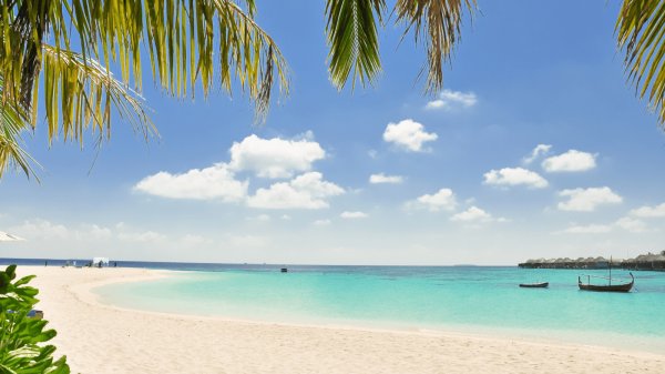 Programme num&eacute;rique digital professionnelle pas cher