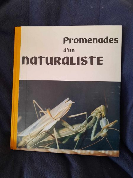 Promenades d'un naturaliste - jean claude roch&eacute;
