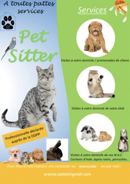 Propose service garde animaux (chat/chien/rongeur