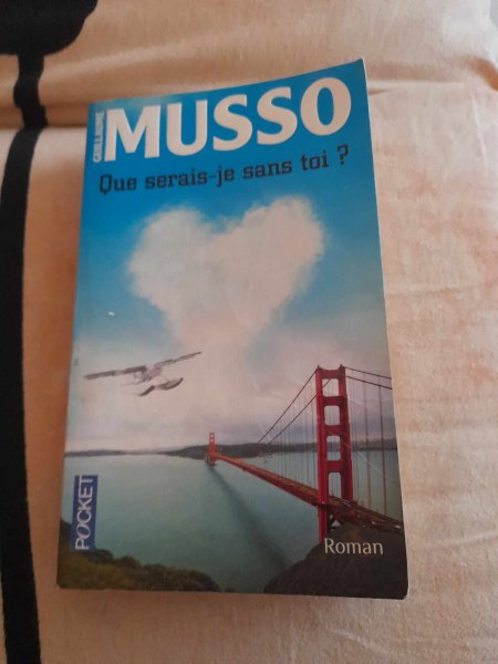 Que serais - je sans toi ? - guillaume musso