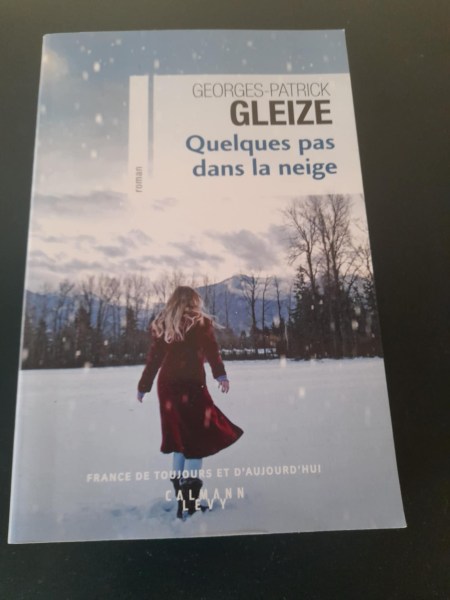 Quelques pas dans la neige - georges patrick gleiz