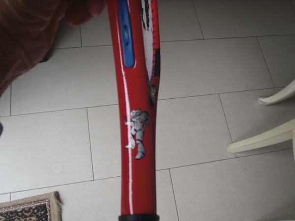 Annonce Raquette enfant artengo t 21