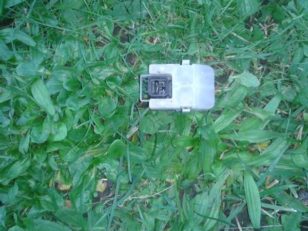 Vente Relai de d&eacute;marreur suzuki 125 burgman 2014