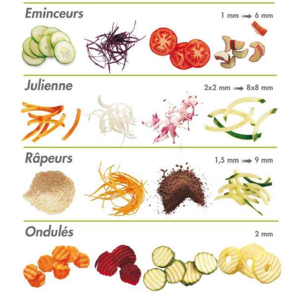 Robot coupe légumes pro + 5 disques /neuf et livré pas cher