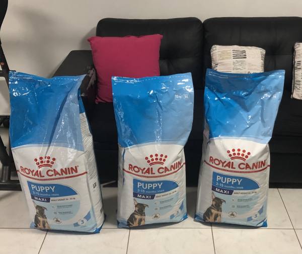 Vente Royal canin 3 sacs de croquettes neuf de 15kgs