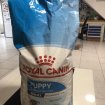 Royal canin 3 sacs de croquettes neuf de 15kgs occasion