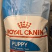 Royal canin puppy medium 15kg