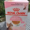 Sachets fraîcheur chaton stérilisé royal canin