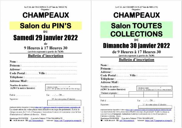 Vente Salon du pin's à champeaux le 29/01/2022