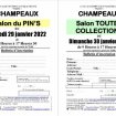 Salon du pin's à champeaux le 29/01/2022 pas cher