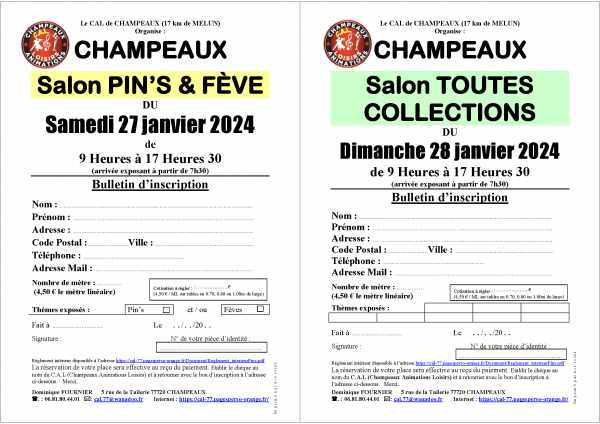 Vente Salon du pin's&amp;fève à champeaux le 27/01/2024