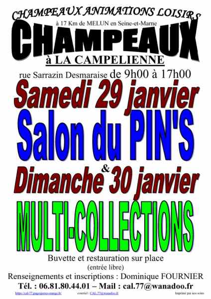 Salon multicollections à champeaux le 30/01/2022