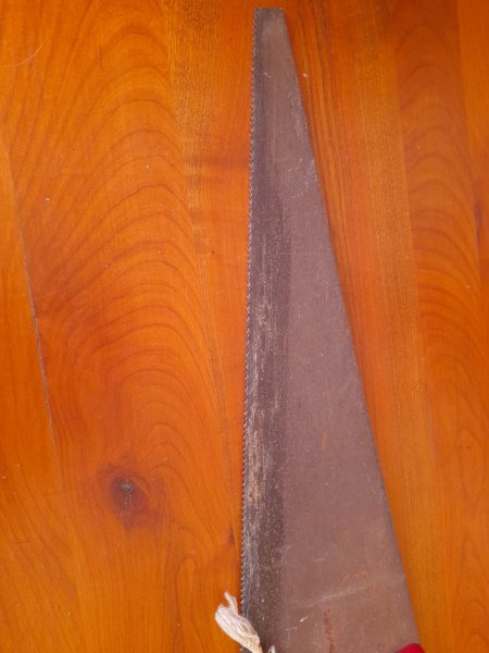 Scie &eacute;go&iuml;ne universelle bois , pl&acirc;tre .. pas cher