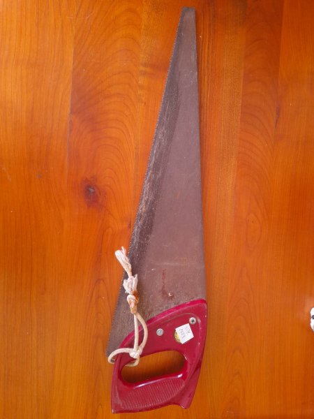 Annonce Scie &eacute;go&iuml;ne universelle bois , pl&acirc;tre ..