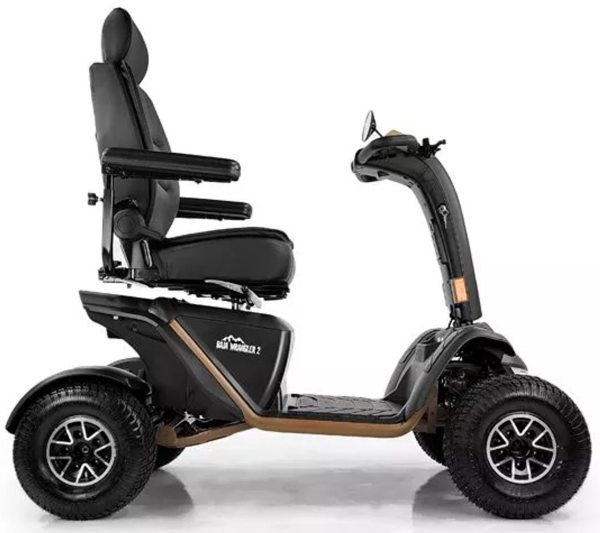 Vente Scooter baja wrangler® 2 pride 2 moteurs terrain