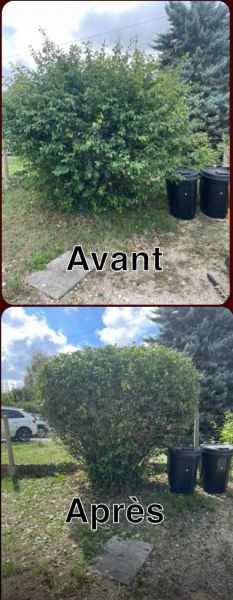 Vente Service polivalent