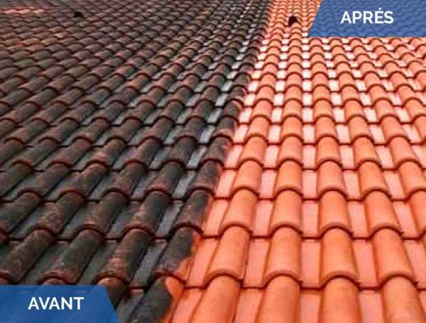 Annonce Service polivalent