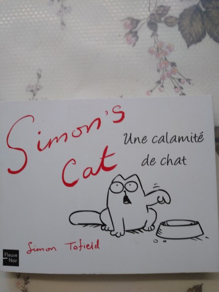Vente Simon's cat. une calamité de chat