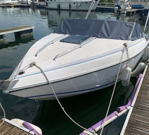 Vente Stingray 590 zp