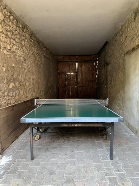 Vente Table de ping-pong