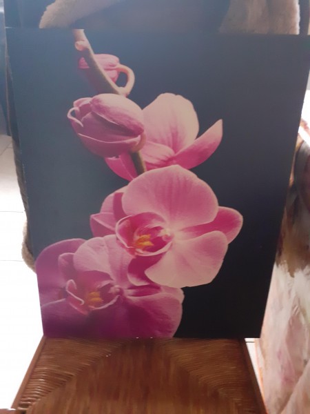 Tableau sur toile fleur de lys