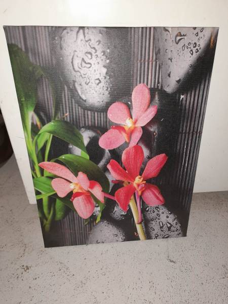 Tableau sur toile fleurs rouge