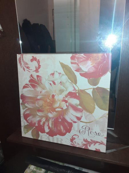 Tableaux sur toile "rose "